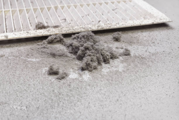 Best Emergency Air Duct Cleaning  in Brogden, NC