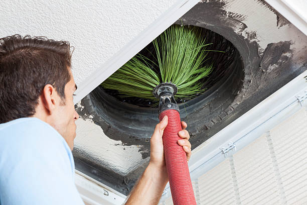 Best Professional Duct Cleaning Services  in Brogden, NC